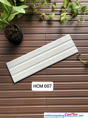 Việt Nhật HCM 007